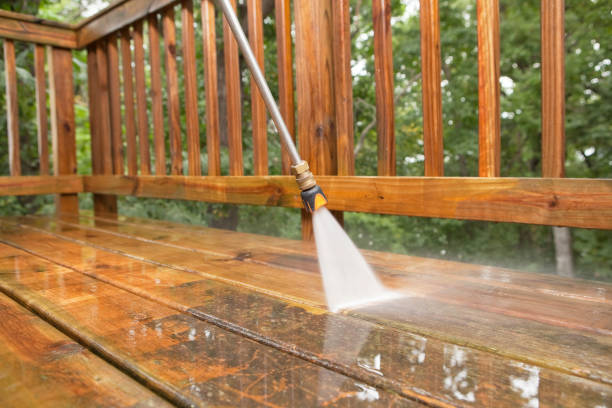 Best Pool Deck Cleaning  in South Waverly, PA